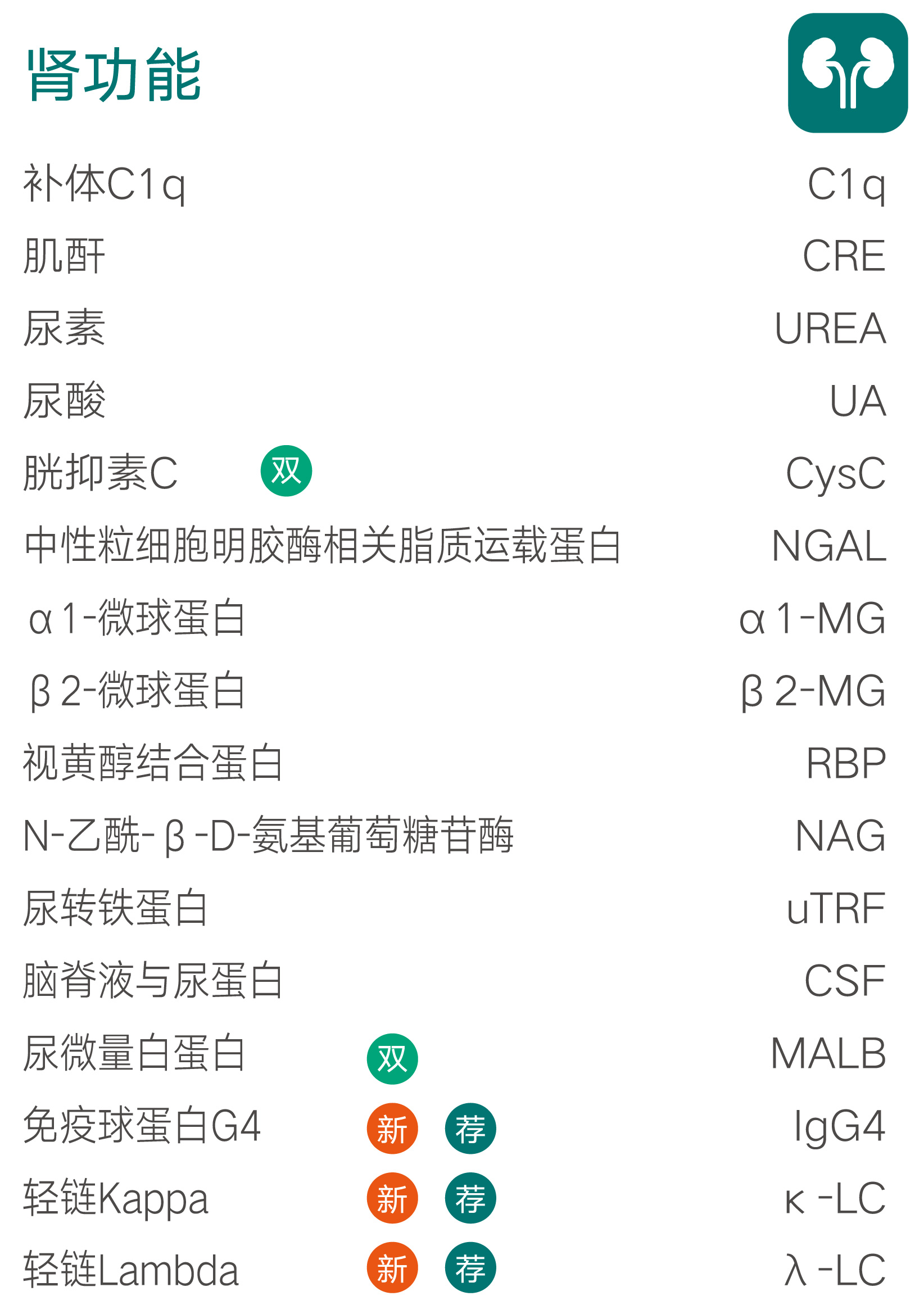 肾功能-03.jpg